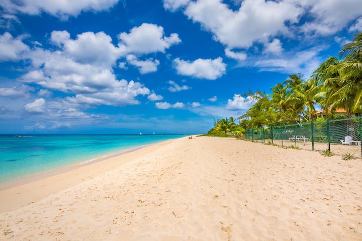 This is a view of the beach and the villa of Tantalus Beach Villa in Barbados. You can see how beautiful the water is, the glorious pink sand and lush green palms.