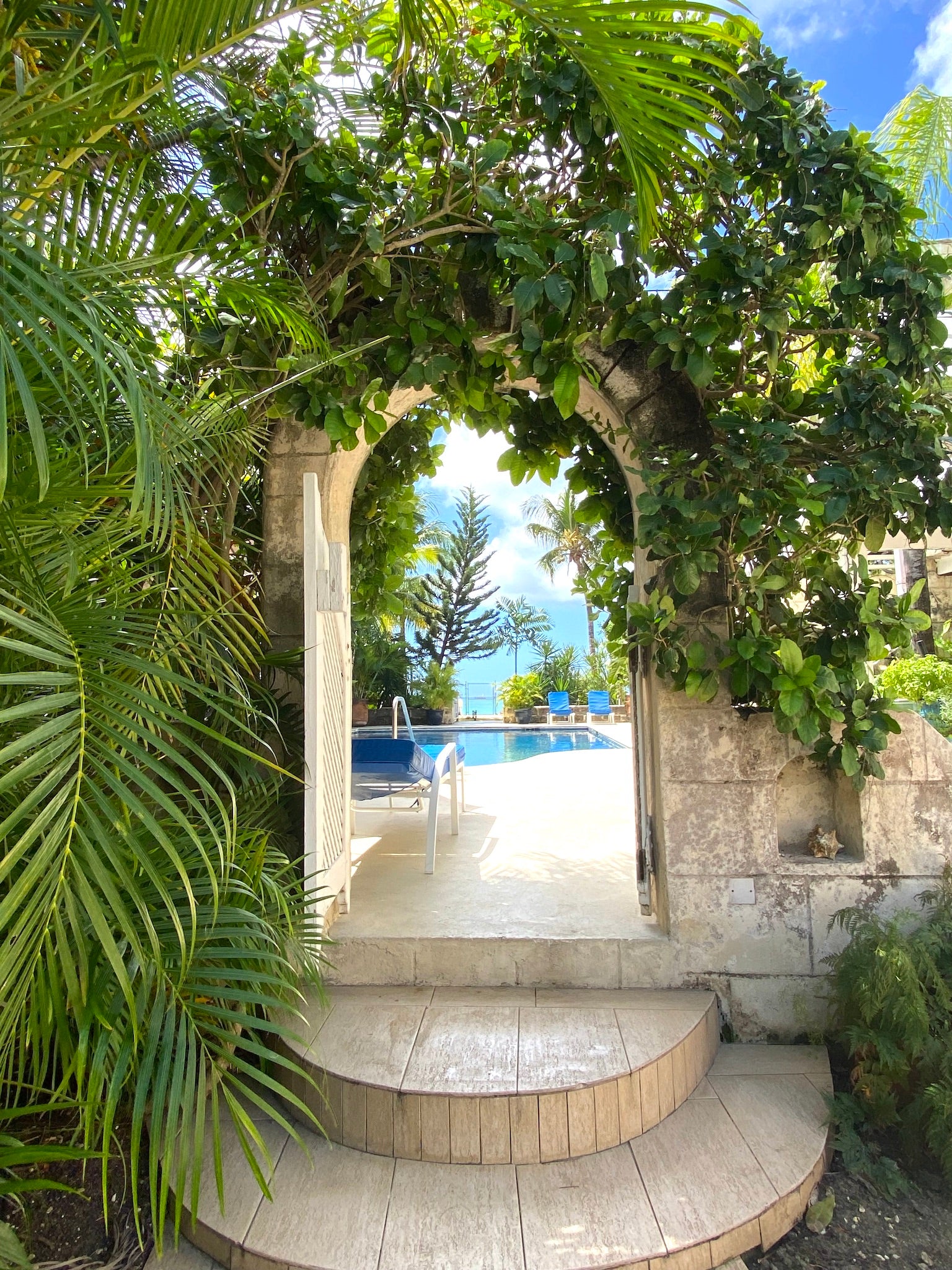 Tantalus Villa in Barbados has a large heated pool and a large hot tub overlooking the beach, it's been rated the number 1 rental in Barbados because of their attention to detail and the villa's luxury and amenities.