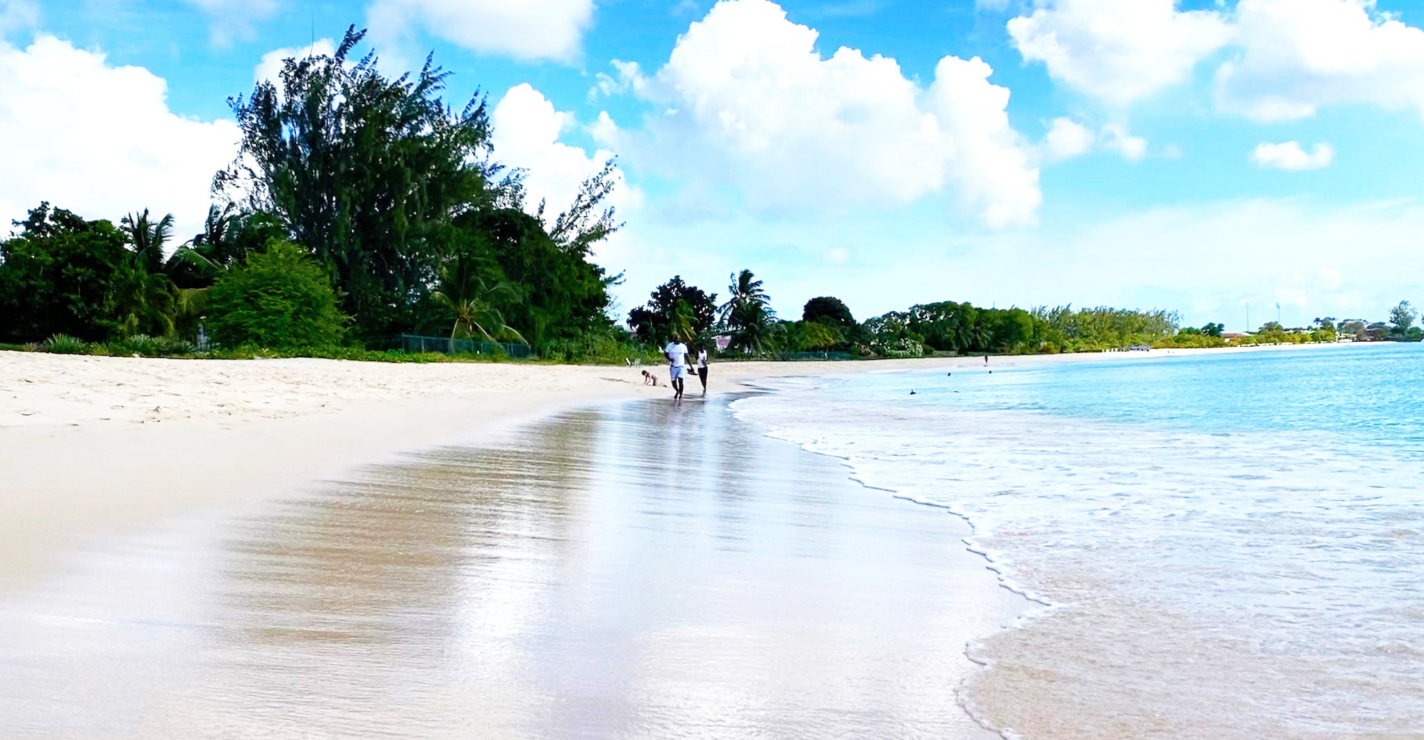 This is a view of the beach and the villa of Tantalus Beach Villa in Barbados. You can see how beautiful the water is, the glorious pink sand and lush green palms.